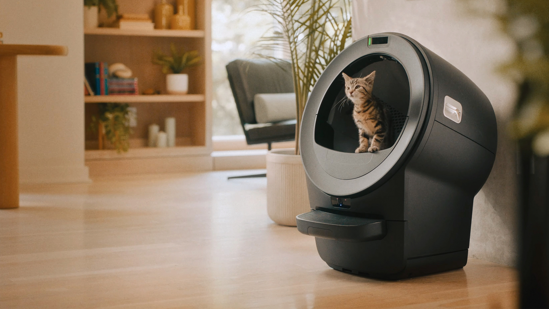 A kitten looks out of a Litter-Robot 5