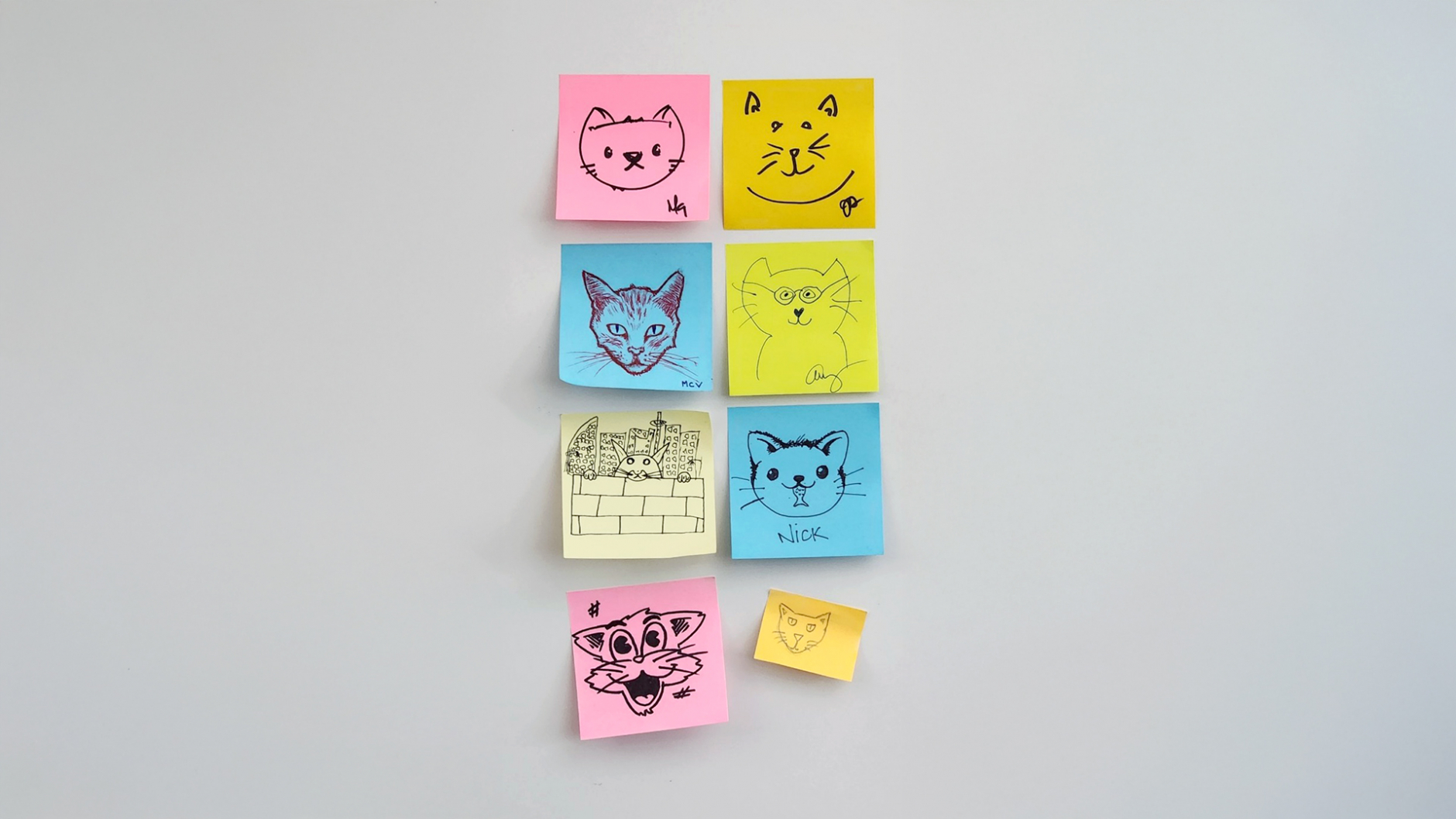 A wall of sticky notes of cat drawings