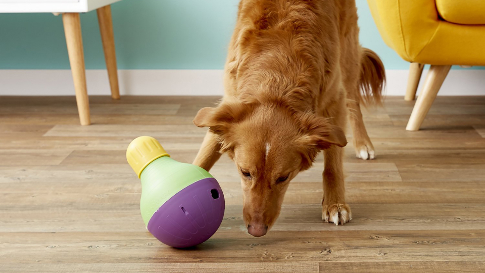 dog enjoying Starmark Bob A Lot Toy